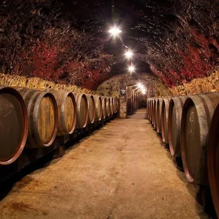 Nyaraló Le Jardin Renard-clos Sur Loir In The Loir & Loire Valleys