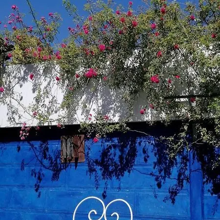 Le Jardin Renard-clos Sur Loir In The Loir & Loire Valleys * La Chapelle-aux-Choux