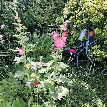Le Jardin Renard-clos Sur Loir In The Loir & Loire Valleys * La Chapelle-aux-Choux