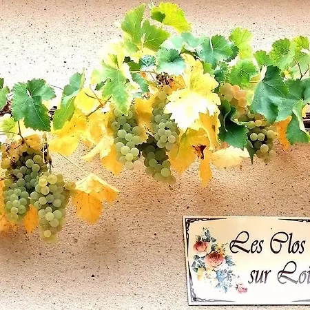 Holiday home Le Jardin Renard-clos Sur Loir In The Loir & Loire Valleys La Chapelle-aux-Choux