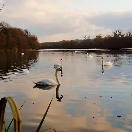 Le Jardin Renard-clos Sur Loir In The Loir & Loire Valleys La Chapelle-aux-Choux