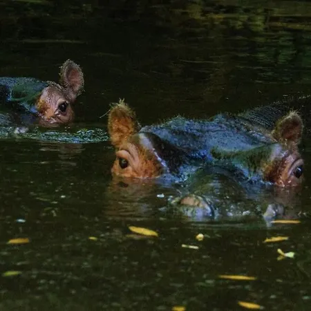 Holiday home Le Jardin Renard-clos Sur Loir In The Loir & Loire Valleys La Chapelle-aux-Choux