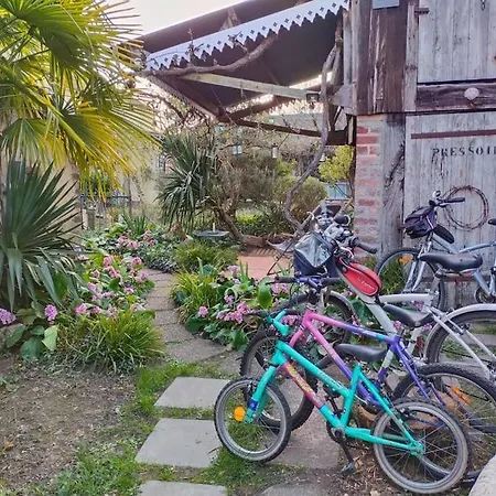 Le Jardin Renard-clos Sur Loir In The Loir & Loire Valleys * La Chapelle-aux-Choux