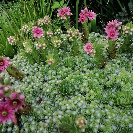 Le Jardin Renard-clos Sur Loir In The Loir & Loire Valleys Nyaraló La Chapelle-aux-Choux