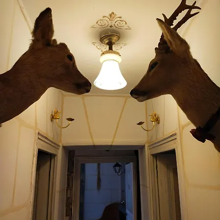 Le Jardin Renard-clos Sur Loir In The Loir & Loire Valleys Holiday home *