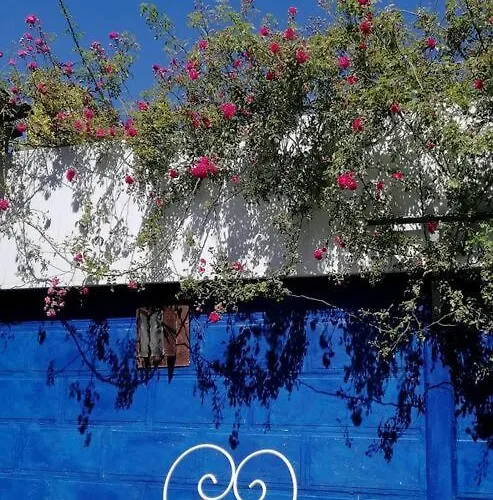 Le Jardin Renard-clos Sur Loir In The Loir&loire Valleys * La Chapelle-aux-Choux