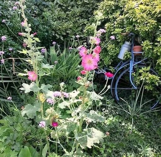 Le Jardin Renard-clos Sur Loir In The Loir&loire Valleys * La Chapelle-aux-Choux