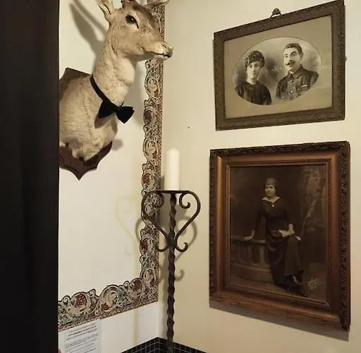 Le Jardin Renard-clos Sur Loir In The Loir&loire Valleys Hébergement de vacances La Chapelle-aux-Choux