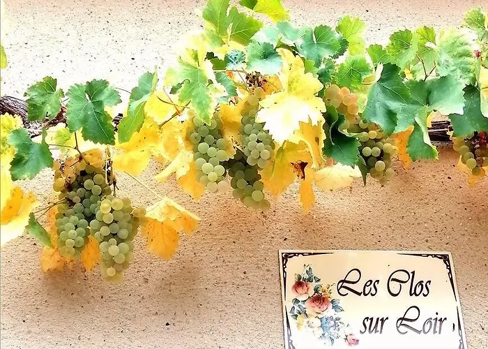 Hébergement de vacances Le Jardin Renard-clos Sur Loir In The Loir&loire Valleys La Chapelle-aux-Choux