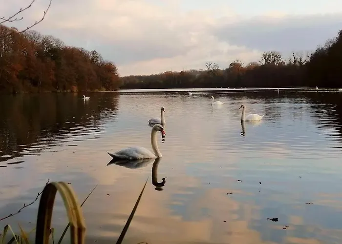 Le Jardin Renard-clos Sur Loir In The Loir&loire Valleys La Chapelle-aux-Choux