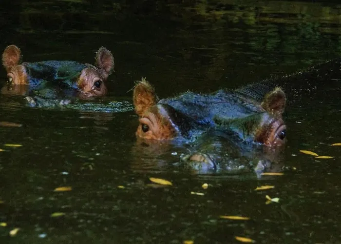 Hébergement de vacances Le Jardin Renard-clos Sur Loir In The Loir&loire Valleys La Chapelle-aux-Choux