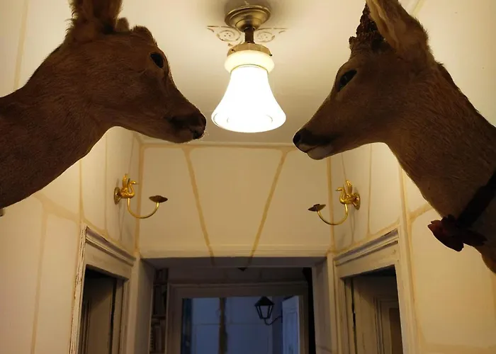 Le Jardin Renard-clos Sur Loir In The Loir&loire Valleys Hébergement de vacances *